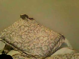  jerking off for my boy